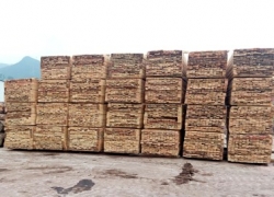重慶木材加工廠