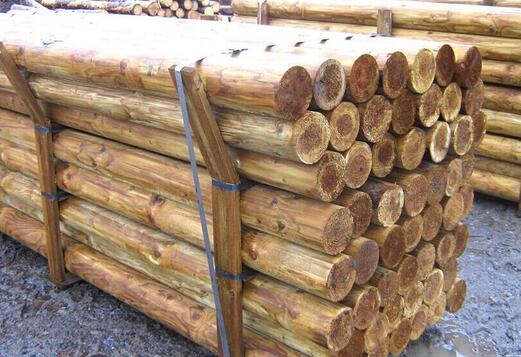 重慶木材加工廠：木材進口報關的流程