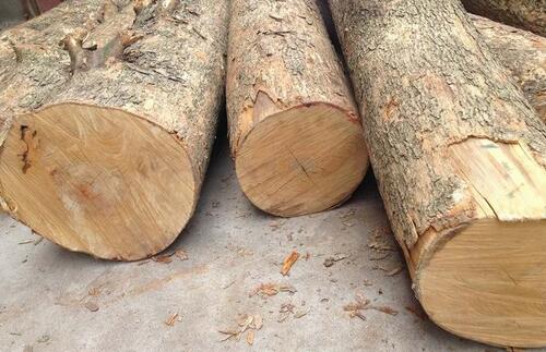 重慶木材加工：什么叫木材的含水率?