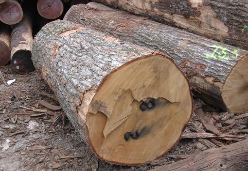 重慶木材加工涂層常見缺陷及其消除方法